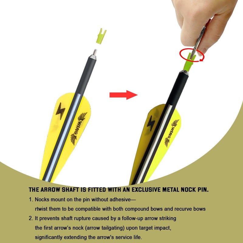 e5e10 31inch Carbon Arrow Archery Targeting Practice Hunting Arrows for Compound & Recurve Bow with Removable Tips(Pack of 12) - Image 3